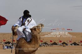 Image du Maroc Professionnelle de  Des hommes du désert s’apprêtent à une course de chameaux organisé dans un site désertique sur lequel la ville de Tan Tan a toujours accueilli la majorité des tribus et des grandes familles nomades du désert lors d'un grand Moussem, Samedi 7 Septembre 2013. Le festival parrainé par l'UNESCO rassemble des milliers de nomades du Maroc. (Photo / Abdeljalil Bounhar) 